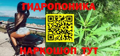 гашик Ливны