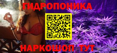 тгк Лесосибирск