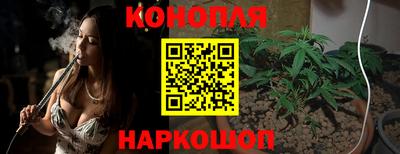 гашик Ливны