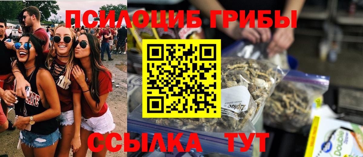 Галлюциногенные грибы MAGIC MUSHROOMS Балтийск