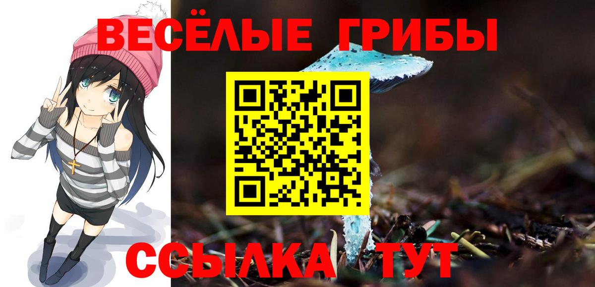 Псилоцибиновые грибы GOLDEN TEACHER  Вход с VPN  Балтийск 
